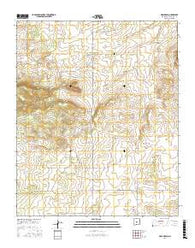 Mesa Draw New Mexico Current topographic map, 1:24000 scale, 7.5 X 7.5 Minute, Year 2017
