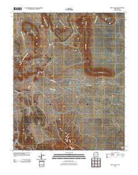 Mesa Larga New Mexico Historical topographic map, 1:24000 scale, 7.5 X 7.5 Minute, Year 2010