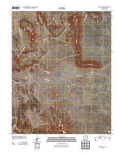 Mesa Larga New Mexico Historical topographic map, 1:24000 scale, 7.5 X 7.5 Minute, Year 2010