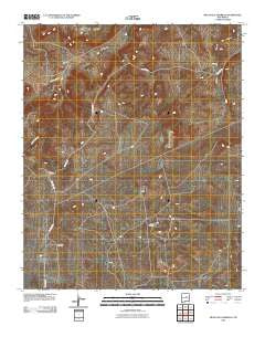Mesa Palo Amarillo New Mexico Historical topographic map, 1:24000 scale, 7.5 X 7.5 Minute, Year 2010