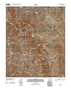 Mesa SW New Mexico Historical topographic map, 1:24000 scale, 7.5 X 7.5 Minute, Year 2010