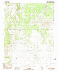 Mesas Mojinas New Mexico Historical topographic map, 1:24000 scale, 7.5 X 7.5 Minute, Year 1985