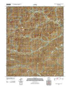 Mesita Americana New Mexico Historical topographic map, 1:24000 scale, 7.5 X 7.5 Minute, Year 2010