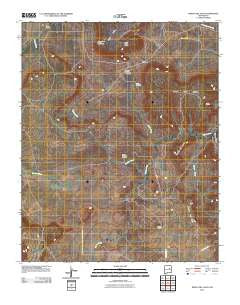 Mesita Del Gato New Mexico Historical topographic map, 1:24000 scale, 7.5 X 7.5 Minute, Year 2010