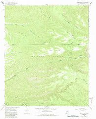 Middle Mesa New Mexico Historical topographic map, 1:24000 scale, 7.5 X 7.5 Minute, Year 1965