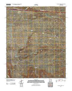 Milagro Spring New Mexico Historical topographic map, 1:24000 scale, 7.5 X 7.5 Minute, Year 2010