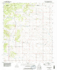 Milbourn Ranch New Mexico Historical topographic map, 1:24000 scale, 7.5 X 7.5 Minute, Year 1991
