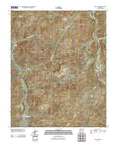 Milk Lake New Mexico Historical topographic map, 1:24000 scale, 7.5 X 7.5 Minute, Year 2010
