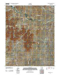 Minnie Butte New Mexico Historical topographic map, 1:24000 scale, 7.5 X 7.5 Minute, Year 2010