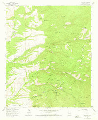 Mogollon New Mexico Historical topographic map, 1:24000 scale, 7.5 X 7.5 Minute, Year 1963