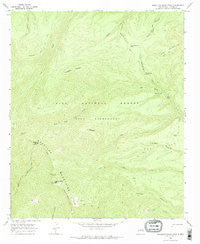 Mogollon Baldy Peak New Mexico Historical topographic map, 1:24000 scale, 7.5 X 7.5 Minute, Year 1965