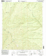 Mogollon Baldy Peak New Mexico Historical topographic map, 1:24000 scale, 7.5 X 7.5 Minute, Year 1999