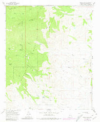 Molino Peak New Mexico Historical topographic map, 1:24000 scale, 7.5 X 7.5 Minute, Year 1965