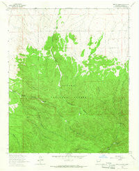 Monica Saddle New Mexico Historical topographic map, 1:24000 scale, 7.5 X 7.5 Minute, Year 1964