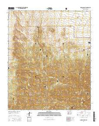Monica Saddle New Mexico Current topographic map, 1:24000 scale, 7.5 X 7.5 Minute, Year 2017