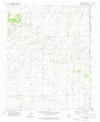 Moses New Mexico Historical topographic map, 1:24000 scale, 7.5 X 7.5 Minute, Year 1972