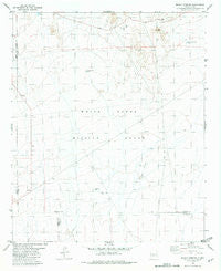 Mound Springs New Mexico Historical topographic map, 1:24000 scale, 7.5 X 7.5 Minute, Year 1982