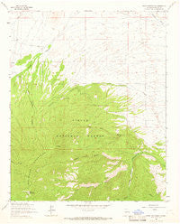 Mount Washington New Mexico Historical topographic map, 1:24000 scale, 7.5 X 7.5 Minute, Year 1964