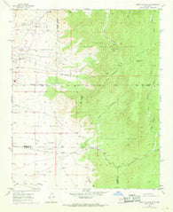 Mount Washington New Mexico Historical topographic map, 1:24000 scale, 7.5 X 7.5 Minute, Year 1954