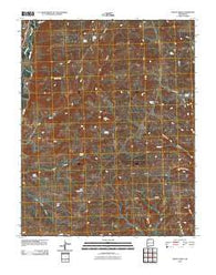 Mount Nebo New Mexico Historical topographic map, 1:24000 scale, 7.5 X 7.5 Minute, Year 2010