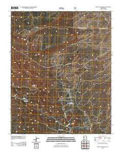Mount Sedgwick New Mexico Historical topographic map, 1:24000 scale, 7.5 X 7.5 Minute, Year 2011