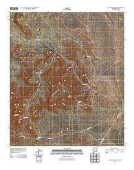 Mountain Tank New Mexico Historical topographic map, 1:24000 scale, 7.5 X 7.5 Minute, Year 2010