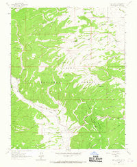 Mule Canyon New Mexico Historical topographic map, 1:24000 scale, 7.5 X 7.5 Minute, Year 1963