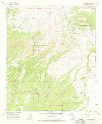 Mule Creek New Mexico Historical topographic map, 1:24000 scale, 7.5 X 7.5 Minute, Year 1965