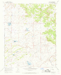 Mule Dam New Mexico Historical topographic map, 1:24000 scale, 7.5 X 7.5 Minute, Year 1966