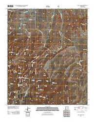 Mule Creek New Mexico Historical topographic map, 1:24000 scale, 7.5 X 7.5 Minute, Year 2011