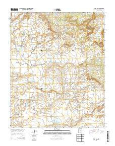 Mule Dam New Mexico Current topographic map, 1:24000 scale, 7.5 X 7.5 Minute, Year 2013