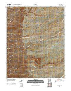 Naschitti New Mexico Historical topographic map, 1:24000 scale, 7.5 X 7.5 Minute, Year 2010