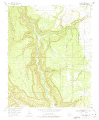Navajo Peak New Mexico Historical topographic map, 1:24000 scale, 7.5 X 7.5 Minute, Year 1953