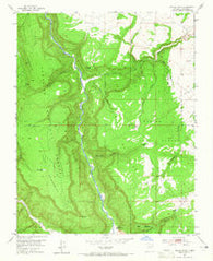Navajo Peak New Mexico Historical topographic map, 1:24000 scale, 7.5 X 7.5 Minute, Year 1953