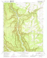 Navajo Peak New Mexico Historical topographic map, 1:24000 scale, 7.5 X 7.5 Minute, Year 1953