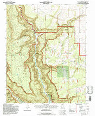 Navajo Peak New Mexico Historical topographic map, 1:24000 scale, 7.5 X 7.5 Minute, Year 1995
