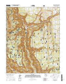 Navajo Peak New Mexico Current topographic map, 1:24000 scale, 7.5 X 7.5 Minute, Year 2017