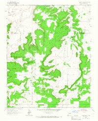 Neafus Ranch New Mexico Historical topographic map, 1:24000 scale, 7.5 X 7.5 Minute, Year 1964