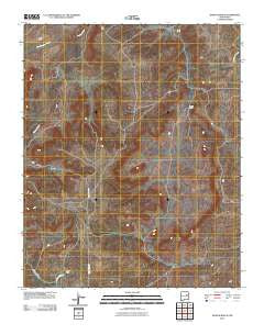 Neafus Ranch New Mexico Historical topographic map, 1:24000 scale, 7.5 X 7.5 Minute, Year 2010