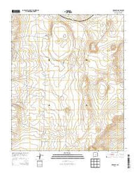 Negra SW New Mexico Historical topographic map, 1:24000 scale, 7.5 X 7.5 Minute, Year 2013