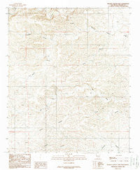 Nelson Canyon East New Mexico Historical topographic map, 1:24000 scale, 7.5 X 7.5 Minute, Year 1988