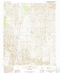 Nelson Canyon West New Mexico Historical topographic map, 1:24000 scale, 7.5 X 7.5 Minute, Year 1989
