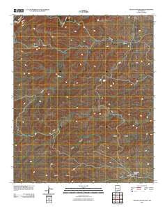 Nelson Canyon East New Mexico Historical topographic map, 1:24000 scale, 7.5 X 7.5 Minute, Year 2010