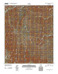 Nelson Canyon West New Mexico Historical topographic map, 1:24000 scale, 7.5 X 7.5 Minute, Year 2010