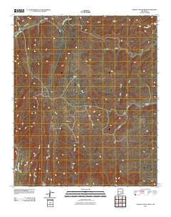 Nelson Canyon West New Mexico Historical topographic map, 1:24000 scale, 7.5 X 7.5 Minute, Year 2010