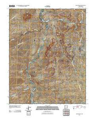 Newcomb NE New Mexico Historical topographic map, 1:24000 scale, 7.5 X 7.5 Minute, Year 2010