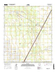 Newman New Mexico Current topographic map, 1:24000 scale, 7.5 X 7.5 Minute, Year 2017