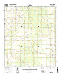 Newman NE New Mexico Current topographic map, 1:24000 scale, 7.5 X 7.5 Minute, Year 2017