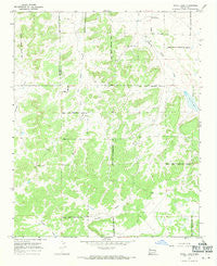 Nicoll Lake New Mexico Historical topographic map, 1:24000 scale, 7.5 X 7.5 Minute, Year 1967