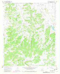 Nicoll Lake New Mexico Historical topographic map, 1:24000 scale, 7.5 X 7.5 Minute, Year 1967